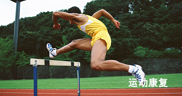 Cases, Bumpers, Covers