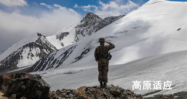 Protective glass and Films